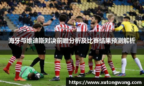 海牙与维迪斯对决前瞻分析及比赛结果预测解析