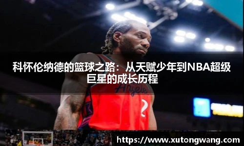 星空电竞官网