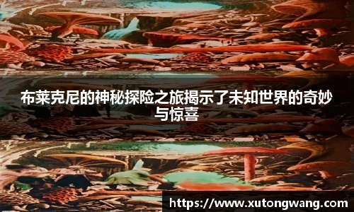 布莱克尼的神秘探险之旅揭示了未知世界的奇妙与惊喜